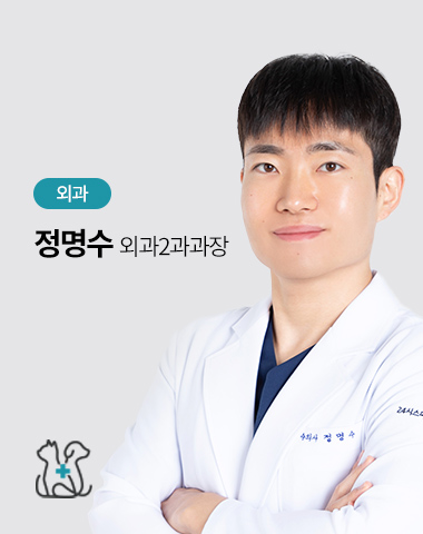정명수