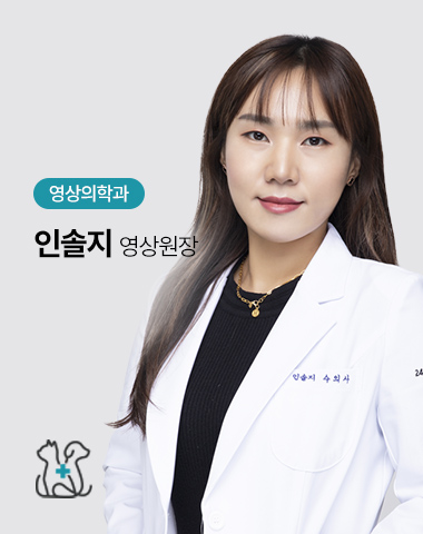인솔지