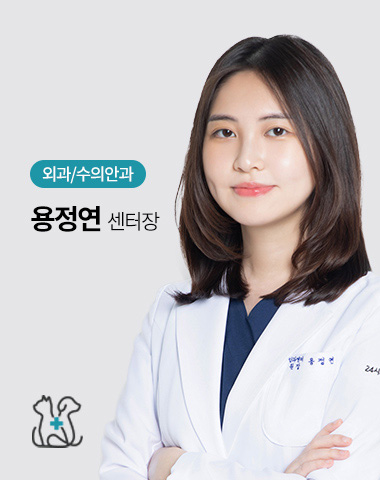 용정연