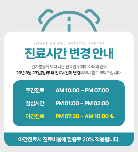 팝업 이미지