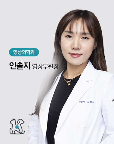 인솔지