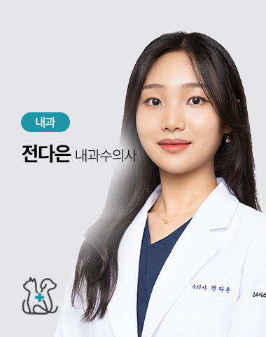 전다은